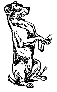 I beg you to click here to find out more about
Personalized Dog Training in South Jersey
